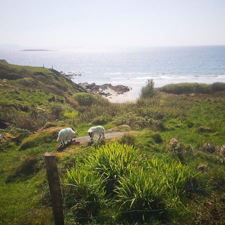 Anne'S Thatched Cottage Kilcar ภายนอก รูปภาพ