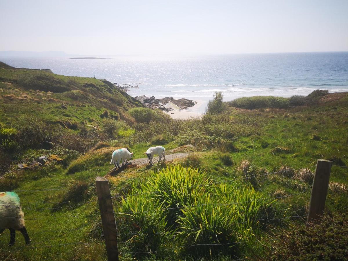 Anne'S Thatched Cottage Kilcar ภายนอก รูปภาพ